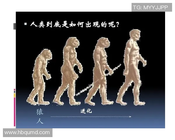 猿人足球明星的传奇之路与人类运动的进化探索