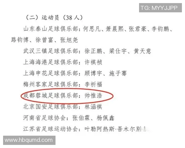 南京足球队球员实力强劲最新个人能力TOP10榜单揭晓