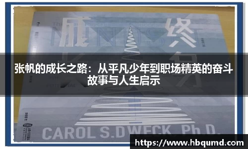 张帆的成长之路：从平凡少年到职场精英的奋斗故事与人生启示